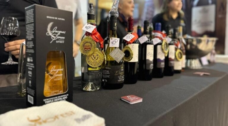 LA RUTA DEL VINO EN EL VALLE ALTO SE REALIZARÁ ESTE DOMINGO COMO CIERRE DEL VINOFEST 2025